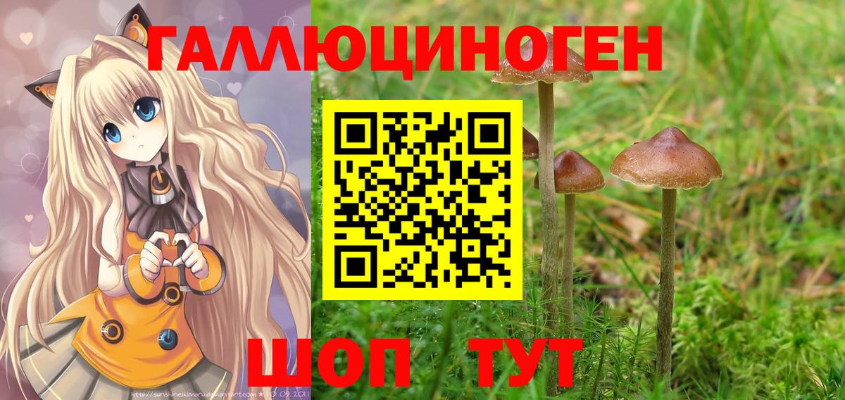 Озёры  Псилоцибиновые грибы мухоморы  Вход с VPN  Галлюциногенные грибы Psilocybe 